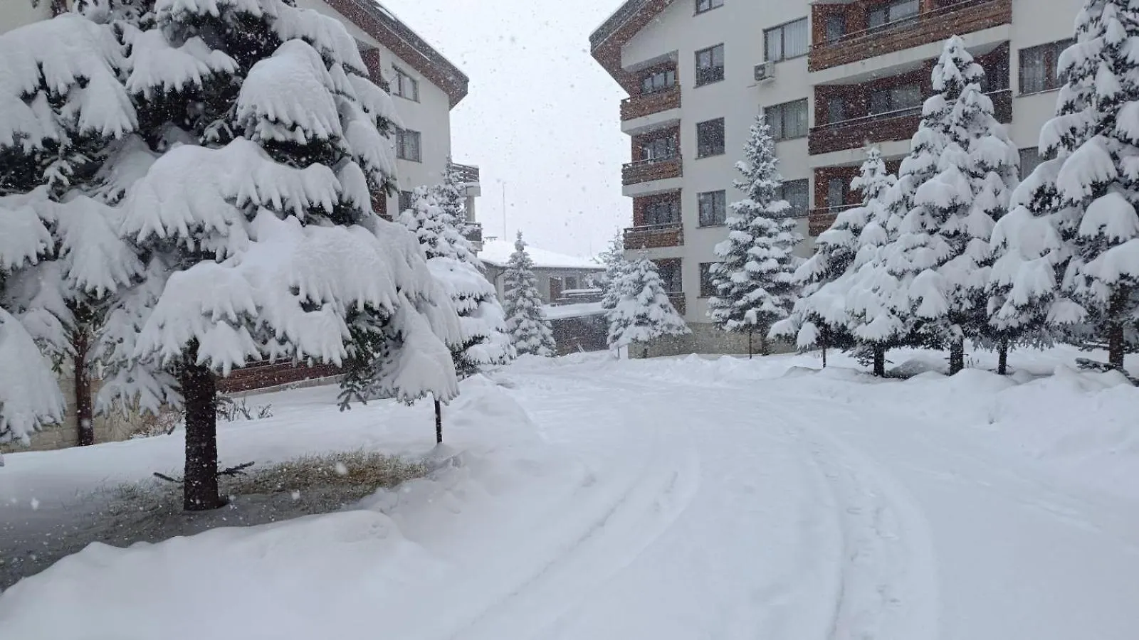 Apartment 26А Detelina Residence 班斯科
