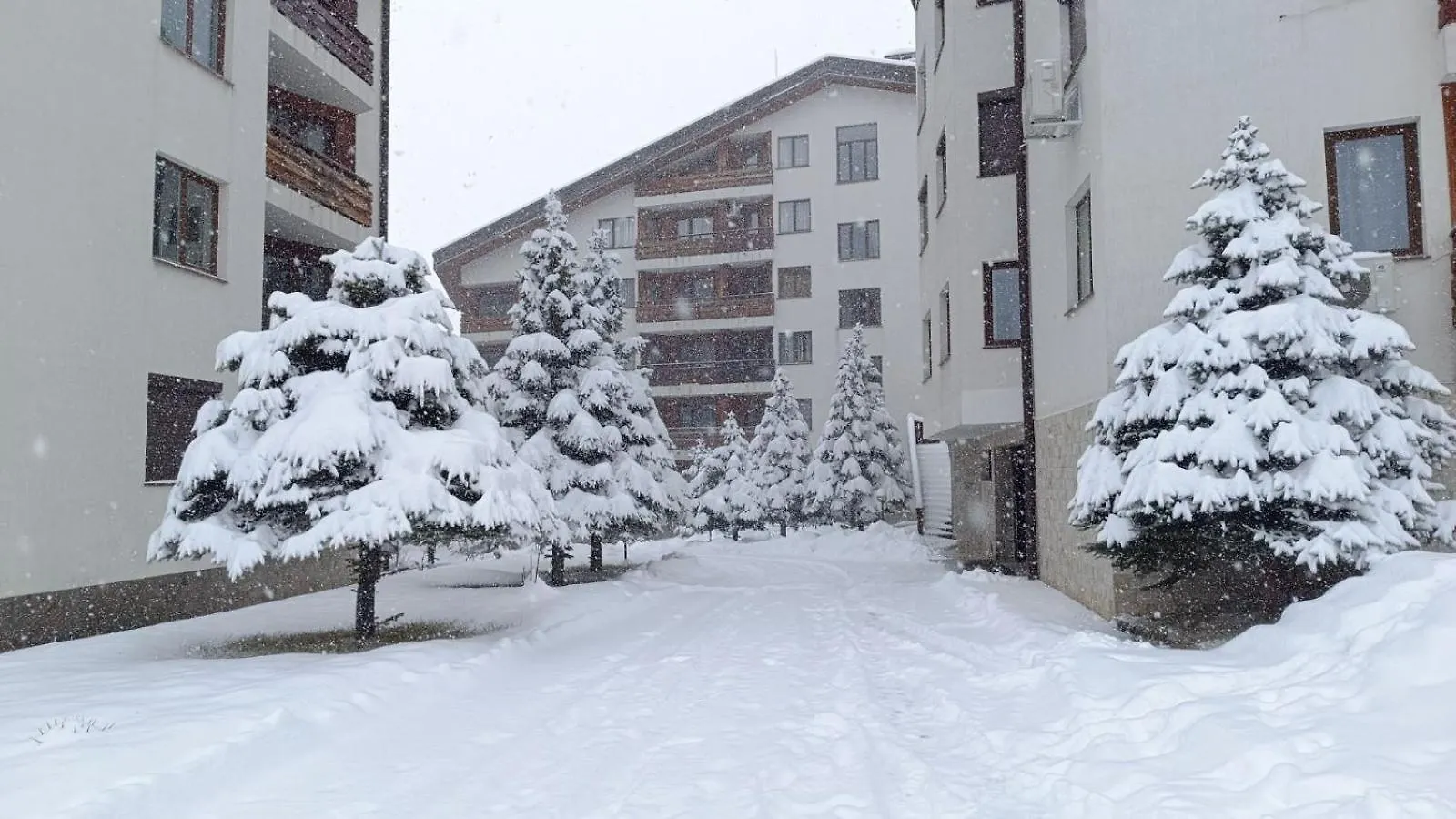 Apartment 26А Detelina Residence Банско